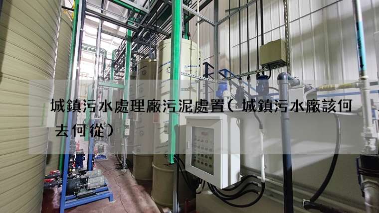 城鎮污水處理廠污泥處置(城鎮污水廠該何去何從)
